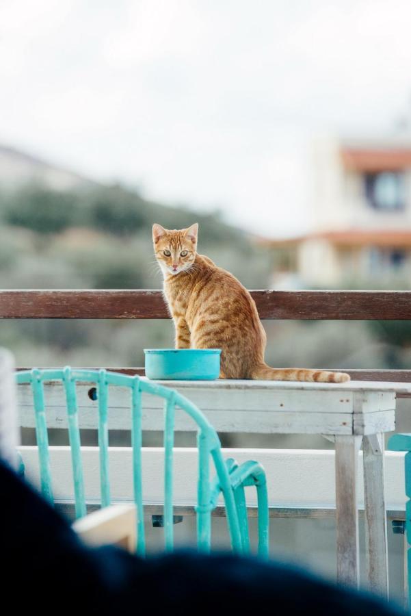 Saveriako, Paradise For Relaxed Free Spirits Βίλα Αγία Πελαγία  Εξωτερικό φωτογραφία