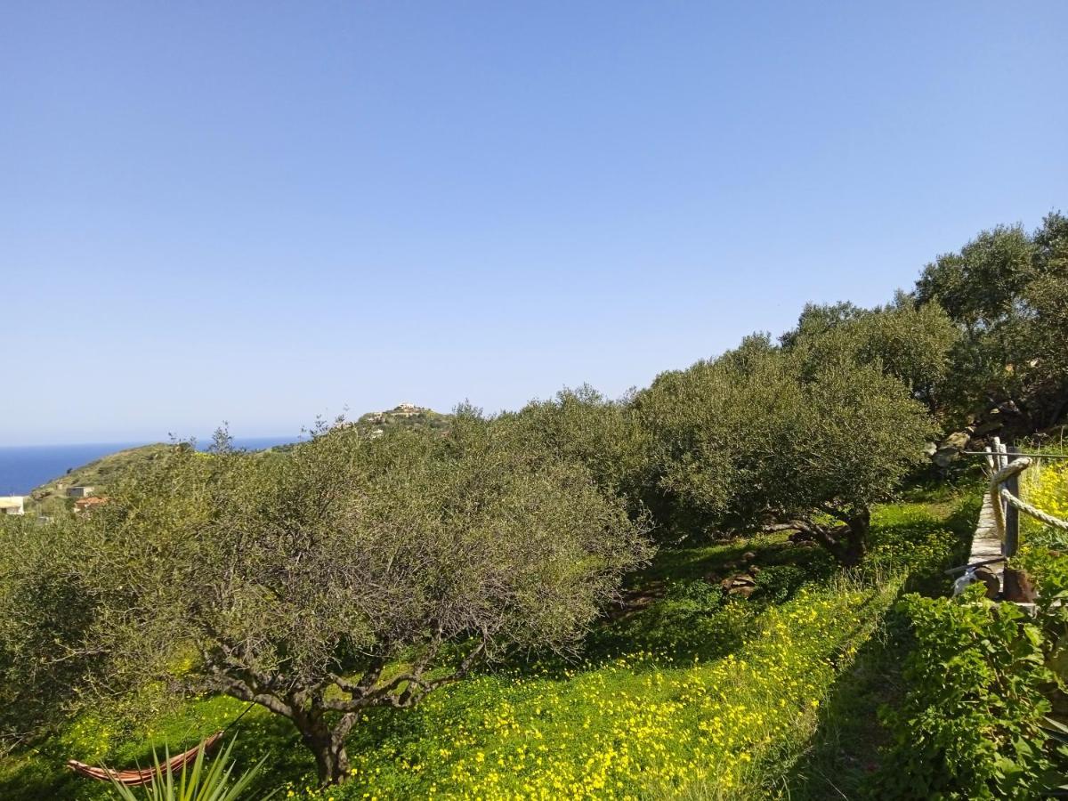 Saveriako, Paradise For Relaxed Free Spirits Βίλα Αγία Πελαγία  Εξωτερικό φωτογραφία