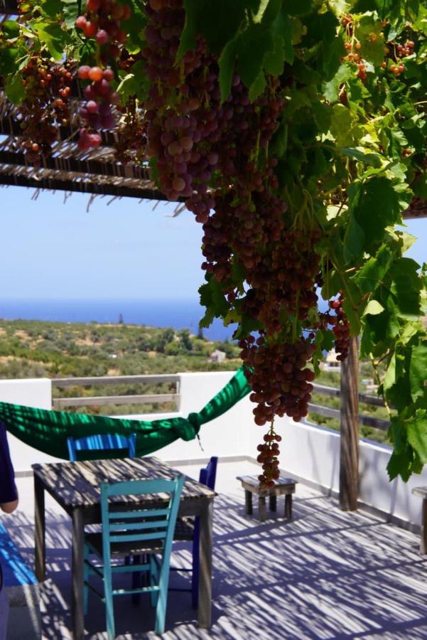 Saveriako, Paradise For Relaxed Free Spirits Βίλα Αγία Πελαγία  Εξωτερικό φωτογραφία