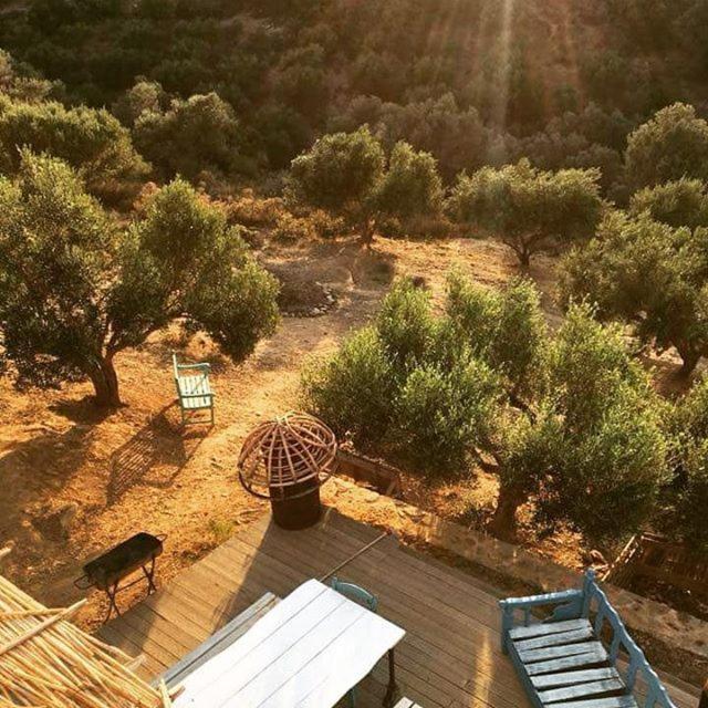 Saveriako, Paradise For Relaxed Free Spirits Βίλα Αγία Πελαγία  Εξωτερικό φωτογραφία